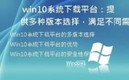   Win10系统下载平台：提供多种版本选择，满足不同需求
