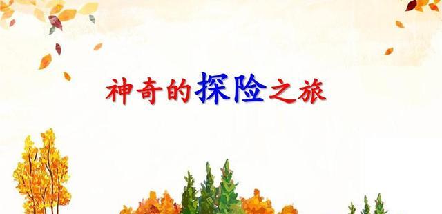 探索乐趣，共赏挑战之旅