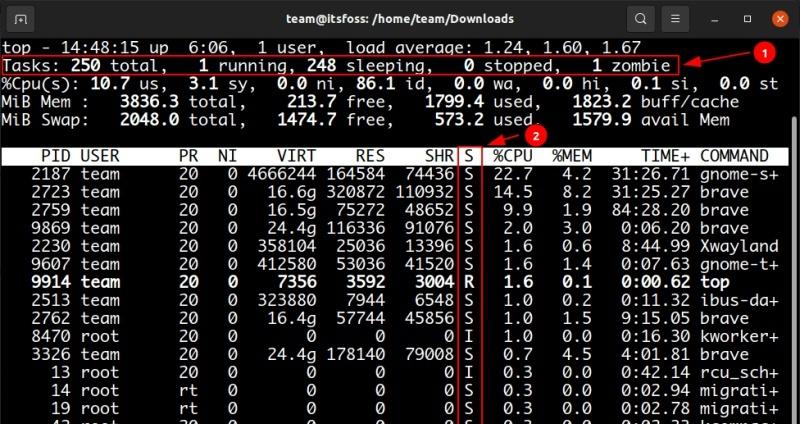 Linux系统：清理和避免僵尸进程的实用方法