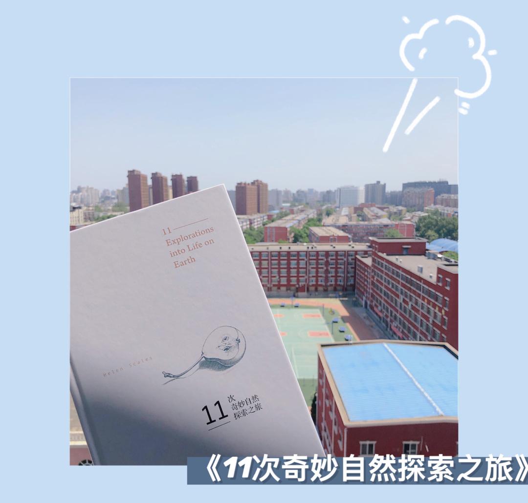奇妙探索：充满惊喜的世界