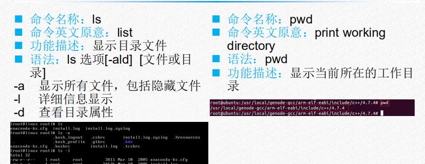 揭开DOS命令的神秘面纱让你成为电脑操作的高手