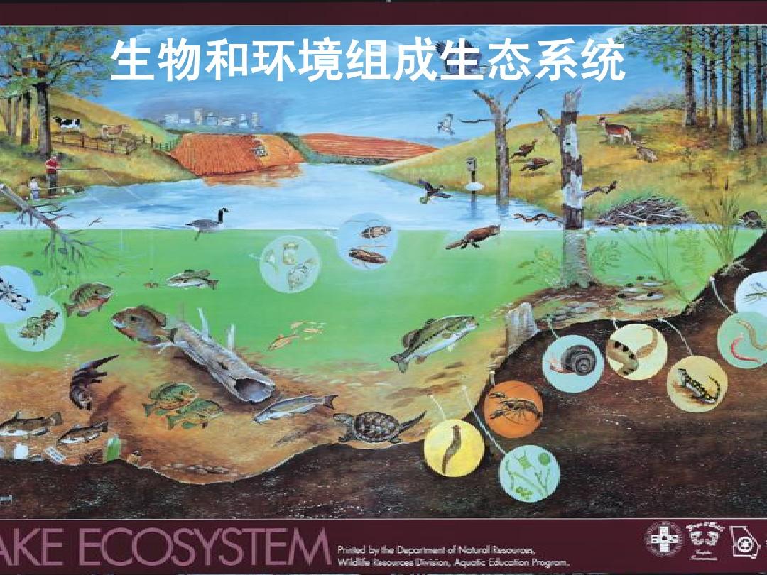 软科排名专业_ecosystem science专业排名_排名专业第一英文