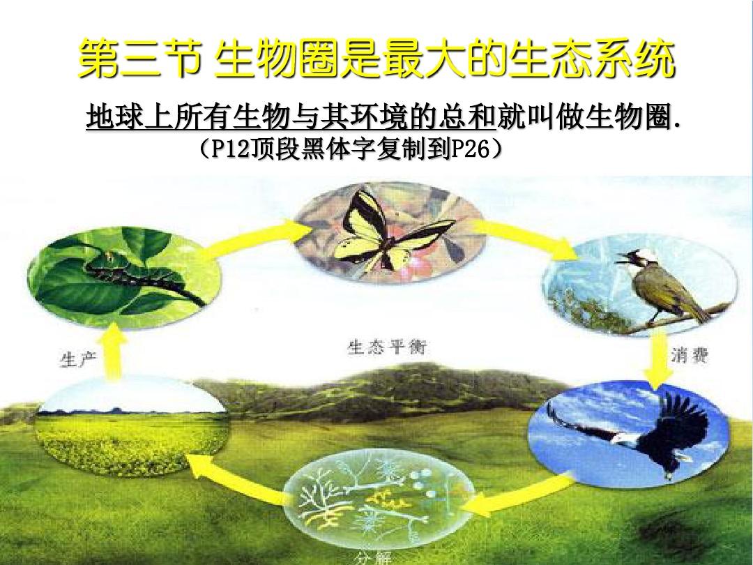 软科排名专业_排名专业第一英文_ecosystem science专业排名