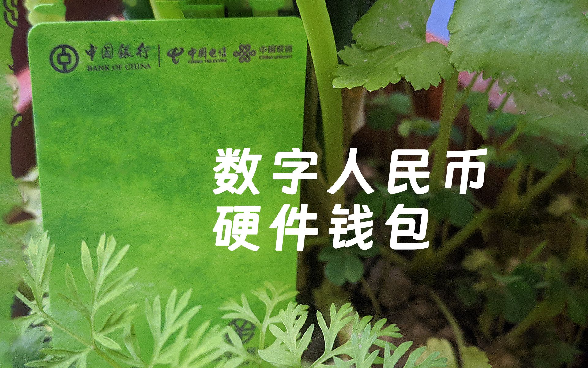 TP钱包能直接兑换波场币吗_钱包币币兑换待支付_钱包的币怎么变现