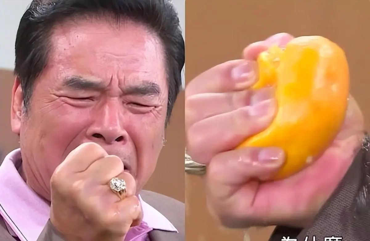 TP钱包买宝贝狗_小狗钱包是什么牌子_狗宝钱包骗局