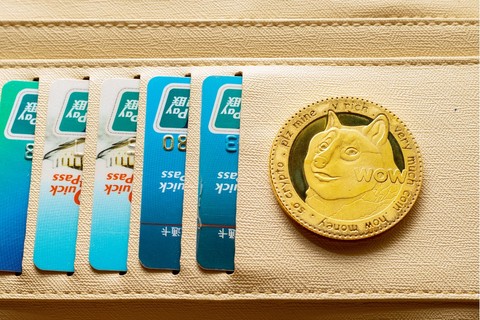 狗狗币钱包dogecoin_tp钱包支持狗狗币吗_狗狗币放tp钱包