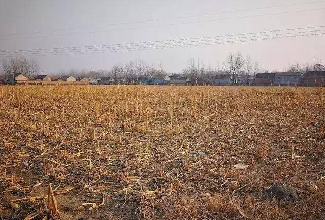 河南省空闲土地核查_河南土地查询_河南省土地稽查举报电话