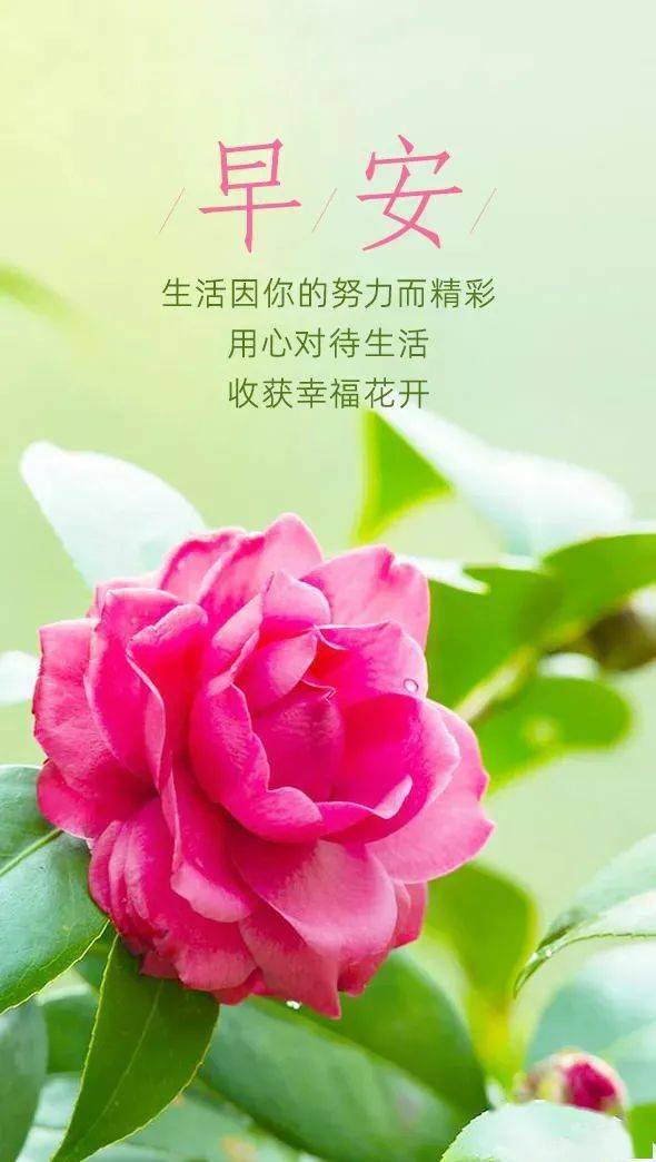 用指令删除文件夹_指令删除指定文件夹中文件_指令夹删除文件用什么软件
