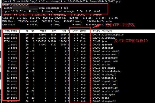 进程运行电脑很多英文字母_电脑运行进程很多_电脑有很多进程