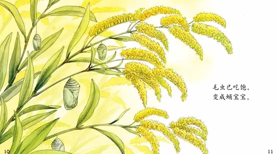 电脑缺少_电脑缺少xlive.dll_电脑缺失xlive.dll