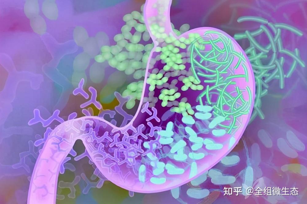 克罗恩病手术治疗的指征包括_克罗恩病的手术指征是_克罗恩病的手术指征包括