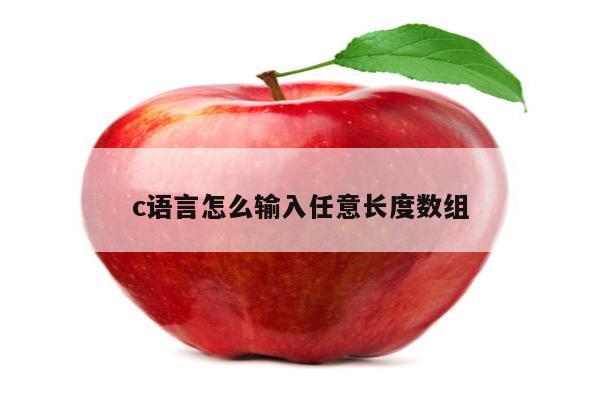 6.03数组初始化为0-编程中数组初始化为 0 的重要性及背后趣味小故事