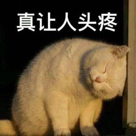 小红伞setup.dll_小红伞软件_小红伞 setup.dll