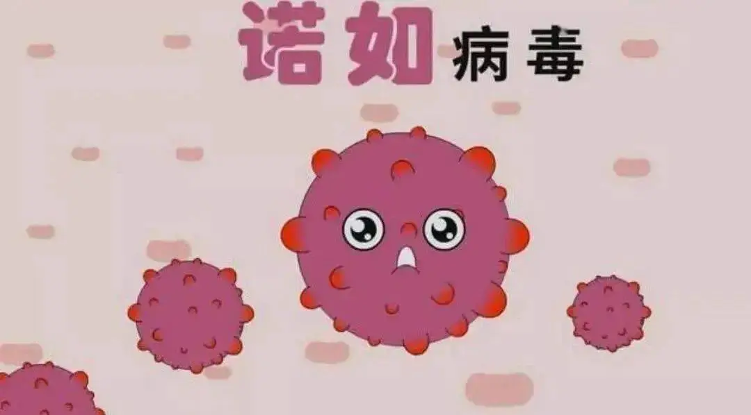 病毒手机下载_病毒手机性能测试_android手机病毒