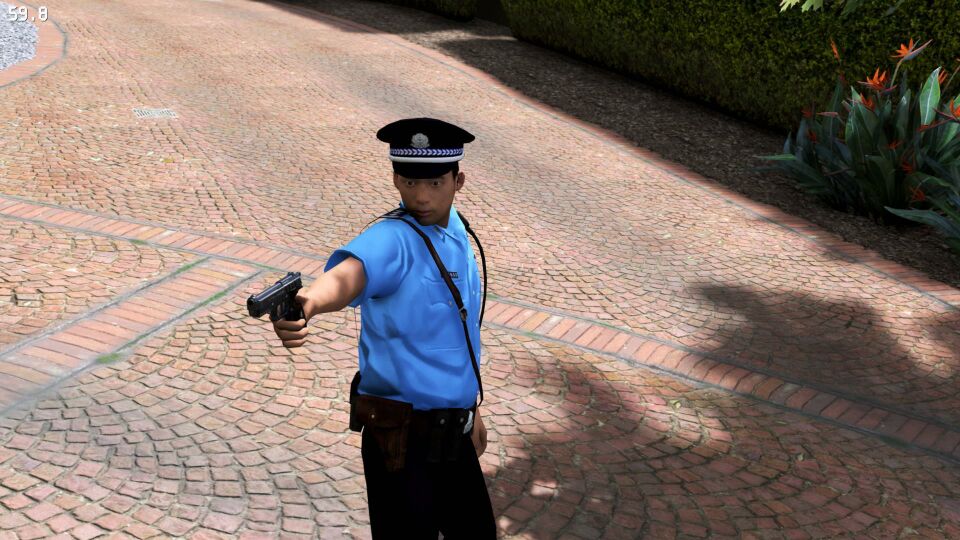 gta5警察mod_gta5警察模式mod_gta5警察mod在哪里下