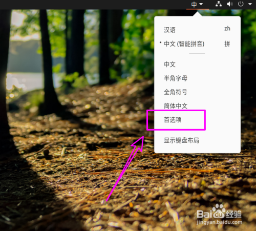 ubuntu切换中文输入法_如何在ubuntu上切换中文输入法_ubuntu20输入法切换