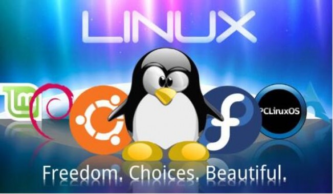 linux是什么系统_linux系统属于_linux属于系统软件么