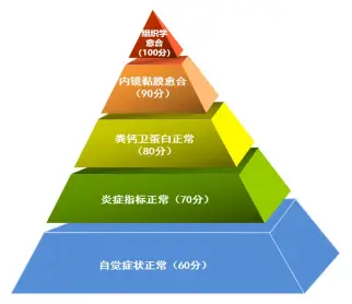 克罗恩病诊断标准_罗克罗恩病的特征性体征_诊断克罗恩的标准