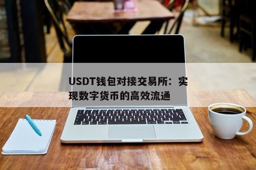 usdt对接钱包,从入门到精通