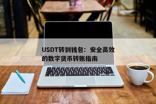 货币usdt转账到其它钱包,USDT转账