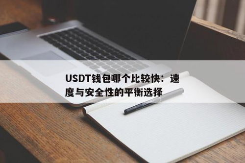 usdt用哪个钱包安全,USDT使用哪个