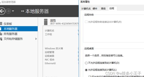 windows操作系统的基础知识,Win