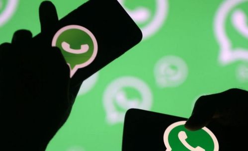 中国whatsapp账号购买,畅享全球沟