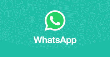 中国哪里用whatsapp的多,中国一线