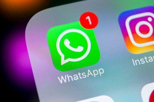 支持whatsapp浏览器,便捷沟通的新