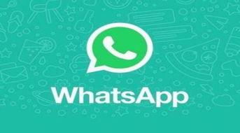 中国用户whatsapp怎么用,跨境沟通