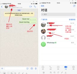 看不到WhatsApp头像,揭秘原因与应