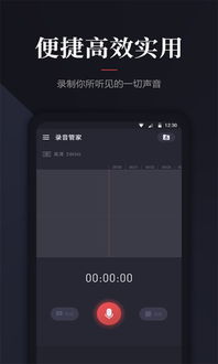 安卓系统拍摄外置录音,轻松捕捉生活瞬间