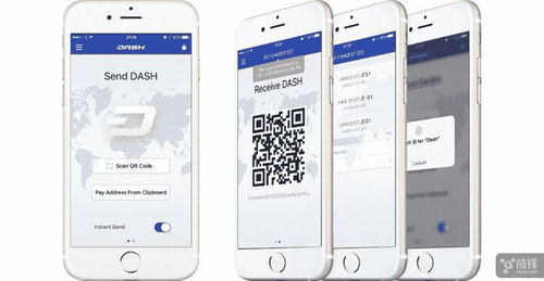 加密数字货币app,引领未来金融潮流的数