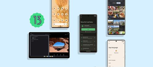 安卓13系统在哪看,探索系统设置与隐私保