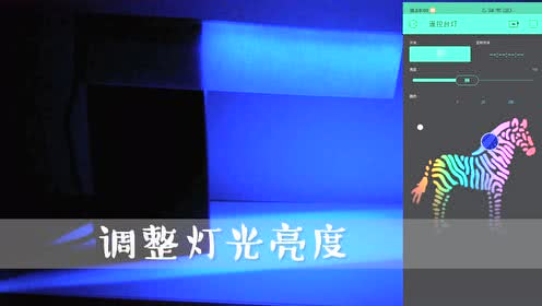 超快播放器 