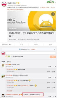 oppo安卓系统7.1.1彩蛋,揭秘独特趣味功能