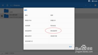 安卓系统文件放哪里,安卓系统文件存放位置