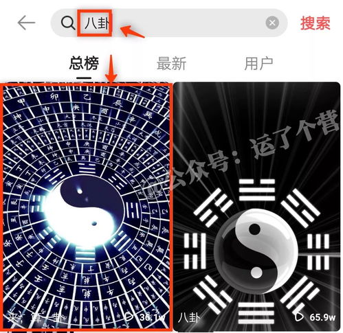 鸟窝动态壁纸安卓系统,安卓系统下的生态画卷