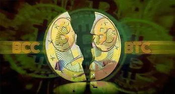 加密货币风险因子有哪些,全面解析潜在风险