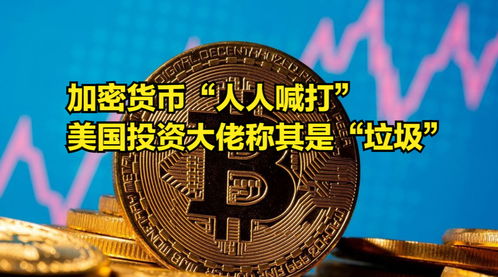 加密货币大佬视频,财富密码与投资智慧深度