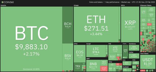 加密货币行情最新价格,最新行情概览