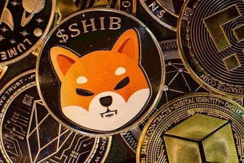 加密货币shiba,加密货币界的“狗狗币