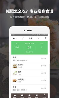 安卓系统v7.1.8.1.81,深度解析