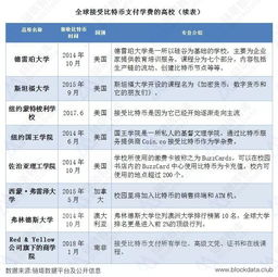 加密货币案例分析,市场波动与投资策略解析