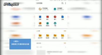 安卓系统怎么管理文件,高效整理与优化