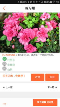 安卓植物识别系统,便捷植物信息一手掌握