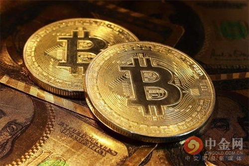 加密货币发财的人,揭秘加密货币致富传奇