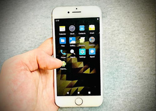iphone安卓系统是什么,系统差异与融