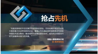 加密货币发行方量是什么,揭秘加密货币发行