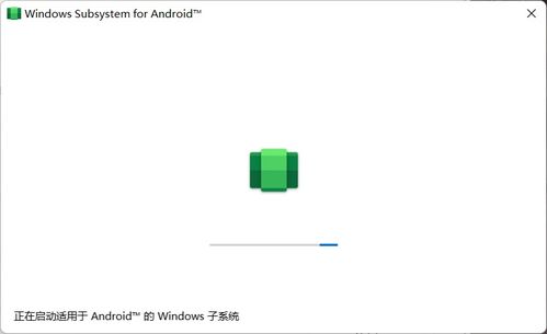 安卓子系统强制安装,揭秘强制安装背后的技